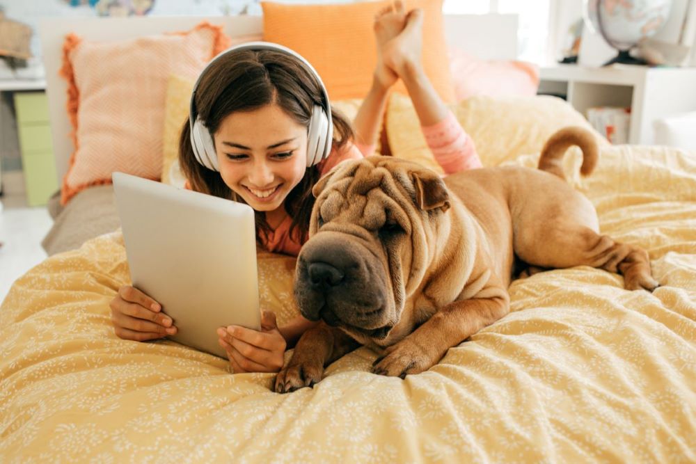 young woman headphones and dog with tablet on bed
