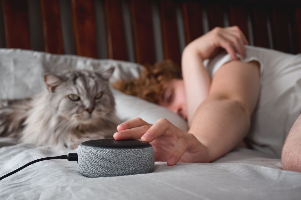 cat redheaded young man amazon echo in bed