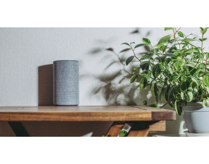 Amazon Echo wood shelf with plant