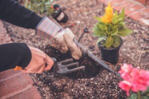 Read more about the article Benefits of Gardening