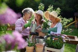 Read more about the article The Therapeutic Power of Gardening for Seniors: Enhancing Mental and Physical Well-being
