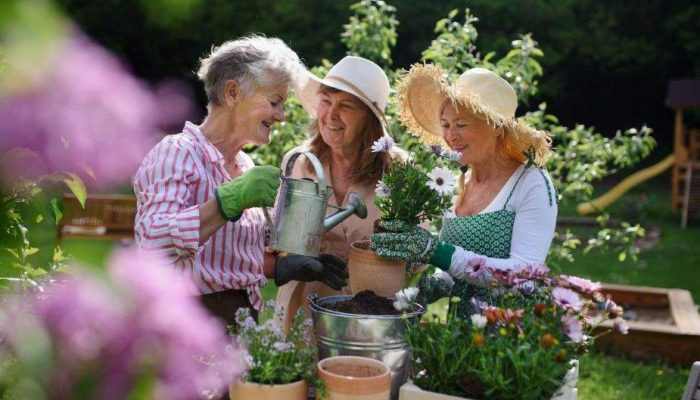 The Therapeutic Power of Gardening for Seniors