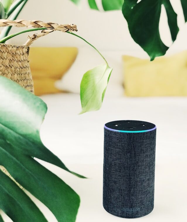 Alexa smart speaker with plant