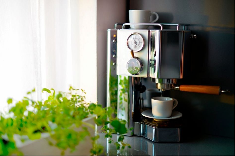 Professional coffee maker on kitchen counter with potted plant