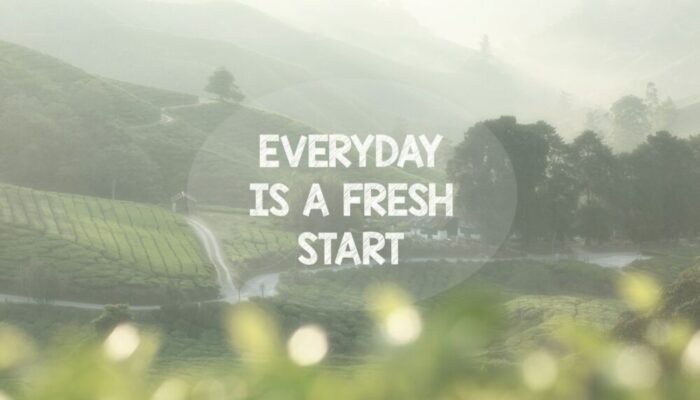 Mid-Year Reset: Organize Your Way to a Fresh Start